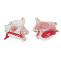 /msite/products/detail/productid/14014985/id/186332.html